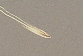 Seattle Fireball_2