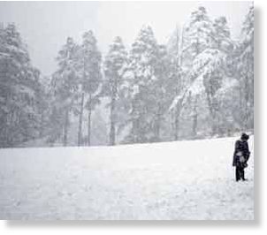 cold,india