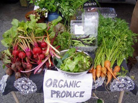 Click to enlarge organic produce