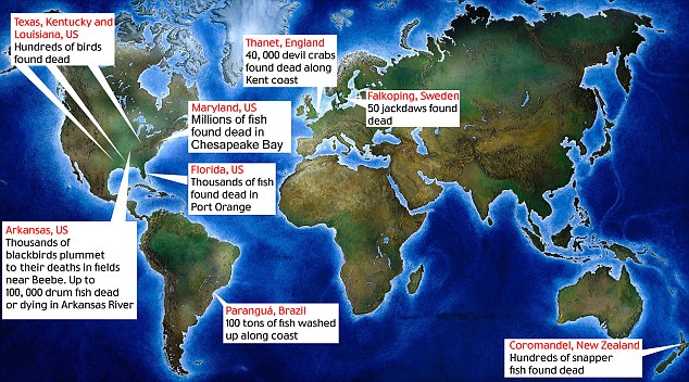 animal death map