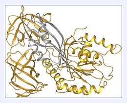 Click to enlarge Protein