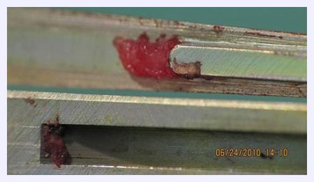 Click to enlarge Dirty Surgical Instrument