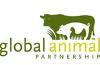 Click to enlarge global animal