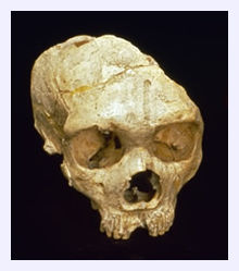 Denisovans_2