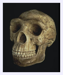 Denisovans_4