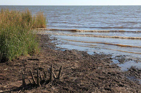 Click to enlarge Blood Beach
