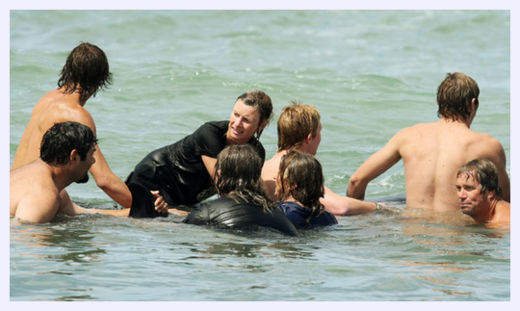 Stranded Whales