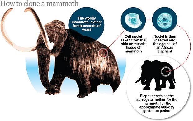 Click to enlarge Clone a Mammoth