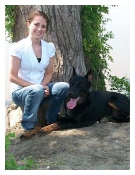 Beauceron