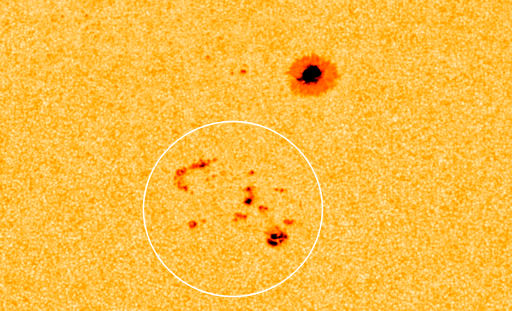 Click to enlarge Image