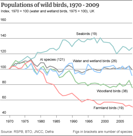 birdgraph UK