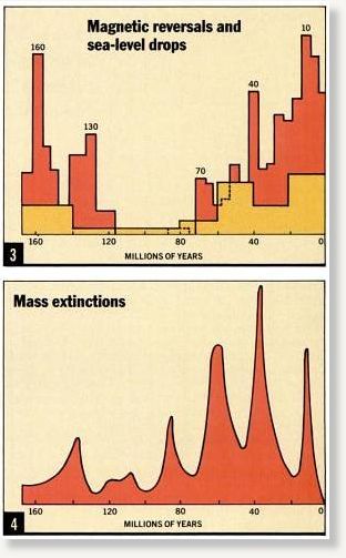 Magnetic Reversal Extinction