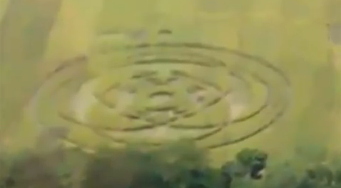 Crop circle Indonesia