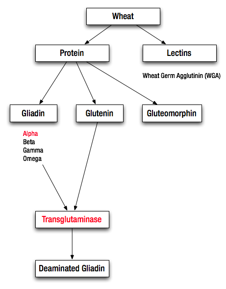 Click to enlarge Image