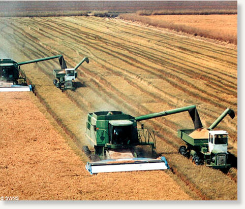 Farming