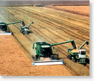 Farming