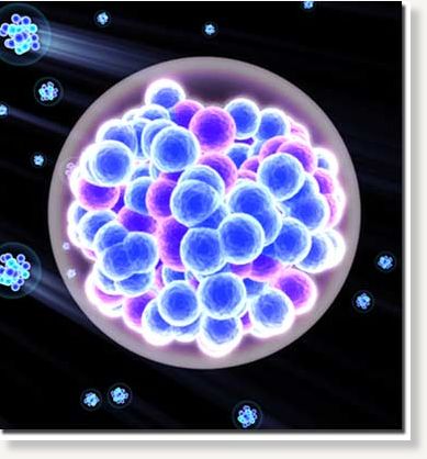 Click to enlarge Image