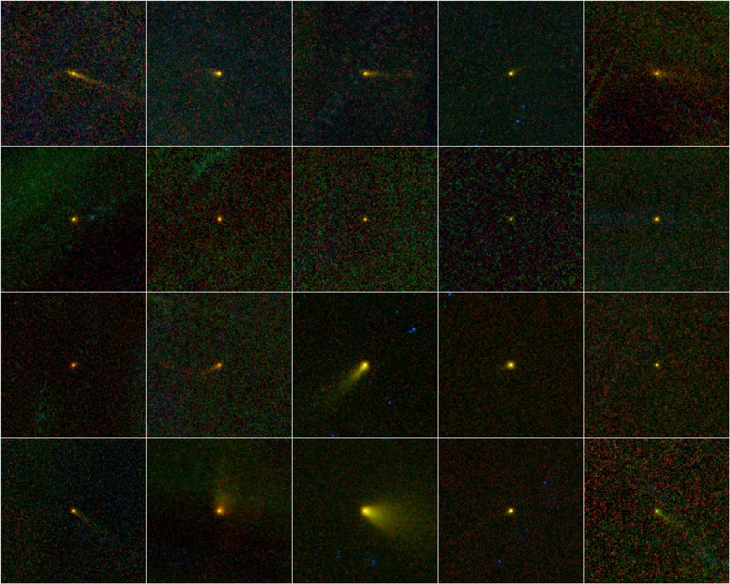 new asteroids discovered