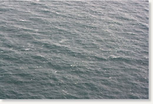 Click to enlarge fish kill