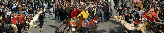 camels/thugs