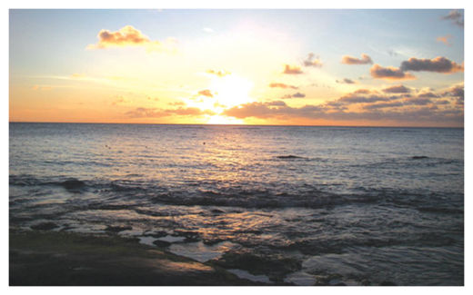 Click to enlarge Do Nothing Website