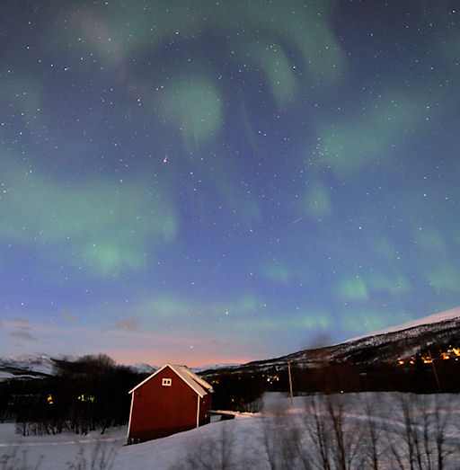 Pulsating Auroras