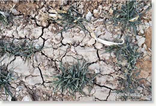Click to enlarge drought