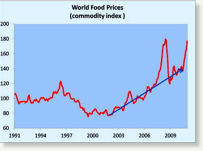 food commodity index