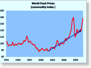 food commodity index