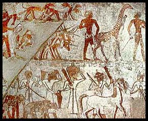 Click to enlarge Image