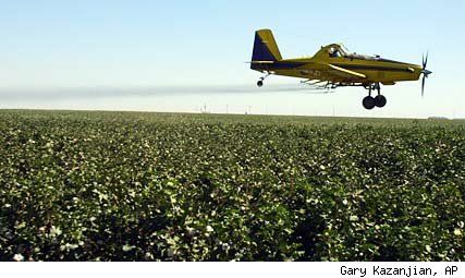 Click to enlarge Spraying
