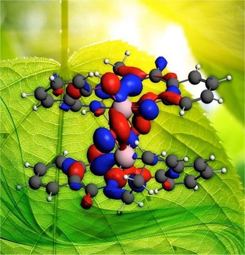  Taking the mystery out of photosynthesis