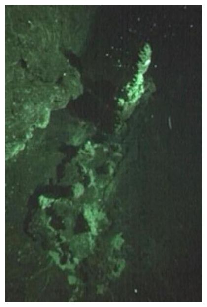Deep Sea Vents