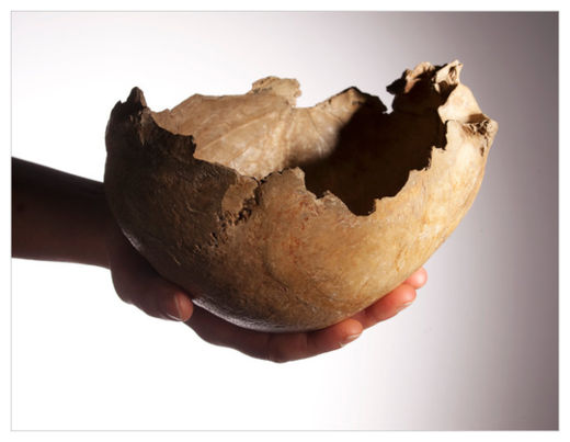 Skull-Cup