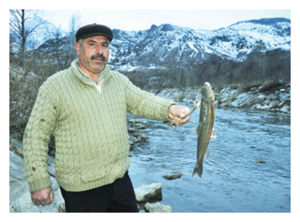 Click to enlarge More Dead Fish