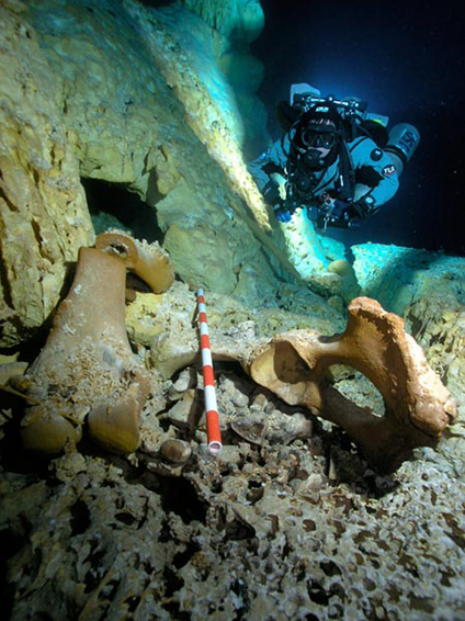 Click to enlarge Pre-Mayan Find_4