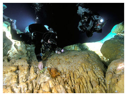 Click to enlarge Pre-Mayan Find_5