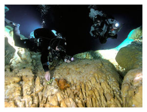 Click to enlarge Pre-Mayan Find_5