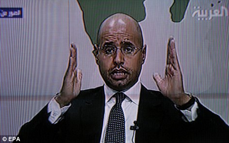 saif gaddafi