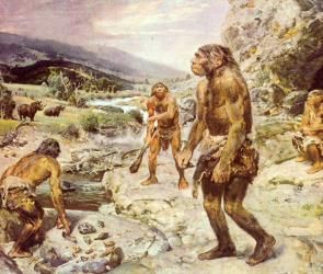 neanderthals