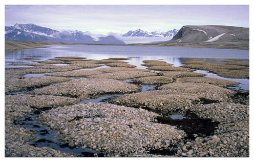 Permafrost