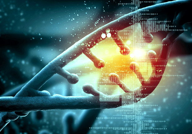 ADN crispr