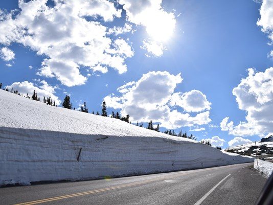   Yup -- that's a huge wall of snow off Trail Ridge Road