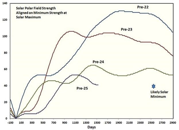 Solar Polar Field Strength