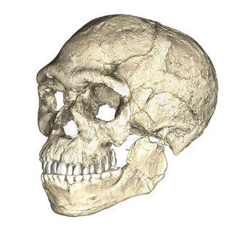 A composite reconstruction