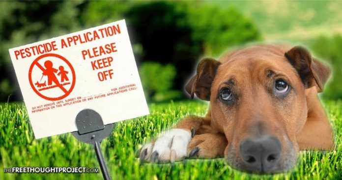 pesticide dog