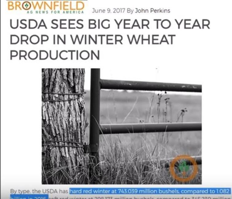 wheat output drops 2017