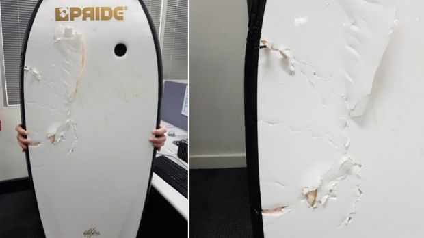 The shark's teeth marks left in the bodyboard following the near miss in Bunbury on Sunday morning. 