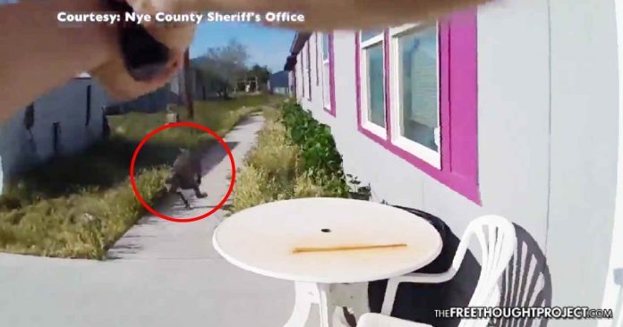 cop shoots dog