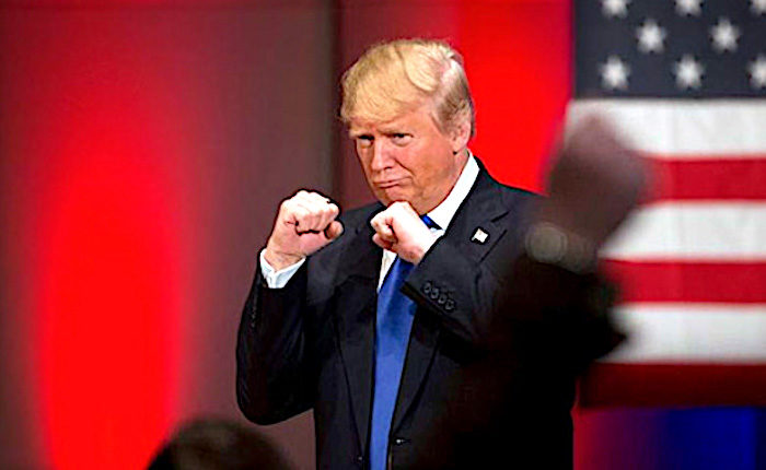 Trumpfist